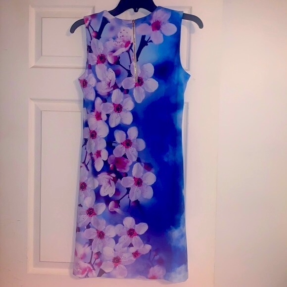 Calvin Klein Blue Bold Floral Sleeveless Dress - Picture 5 of 13